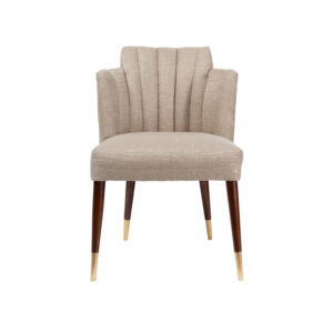 Nopurs Modern Dining Chair Design FH2