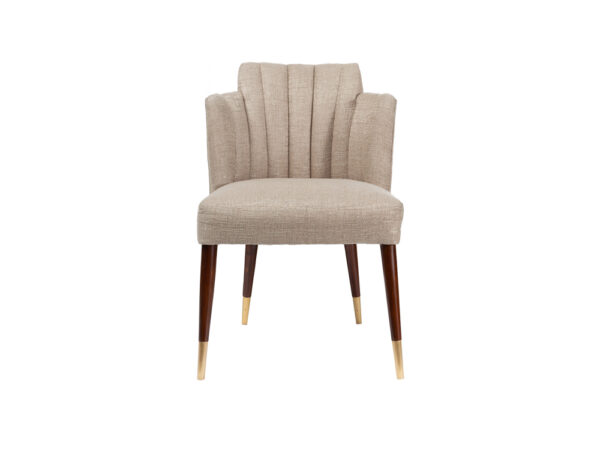 Nopurs Modern Dining Chair Design FH2